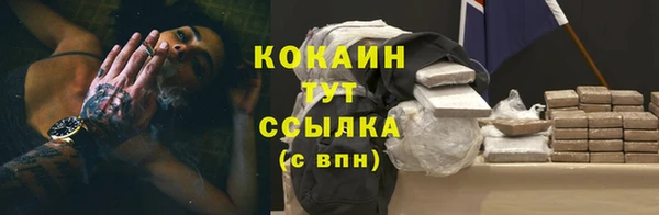 ПСИЛОЦИБИНОВЫЕ ГРИБЫ Баксан
