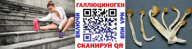 купить наркоту  Кущёвская  Псилоцибиновые грибы прущие грибы 